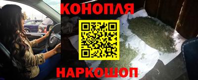 сатива Малгобек