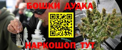 сатива Малгобек