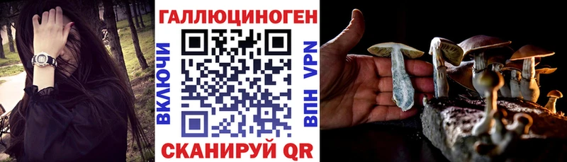 Псилоцибиновые грибы Psilocybe  Тверь 