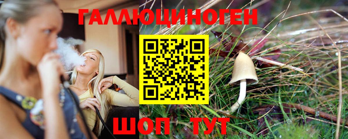 Галлюциногенные грибы MAGIC MUSHROOMS  Вход с VPN  Тверь  Галлюциногенные грибы мухоморы 
